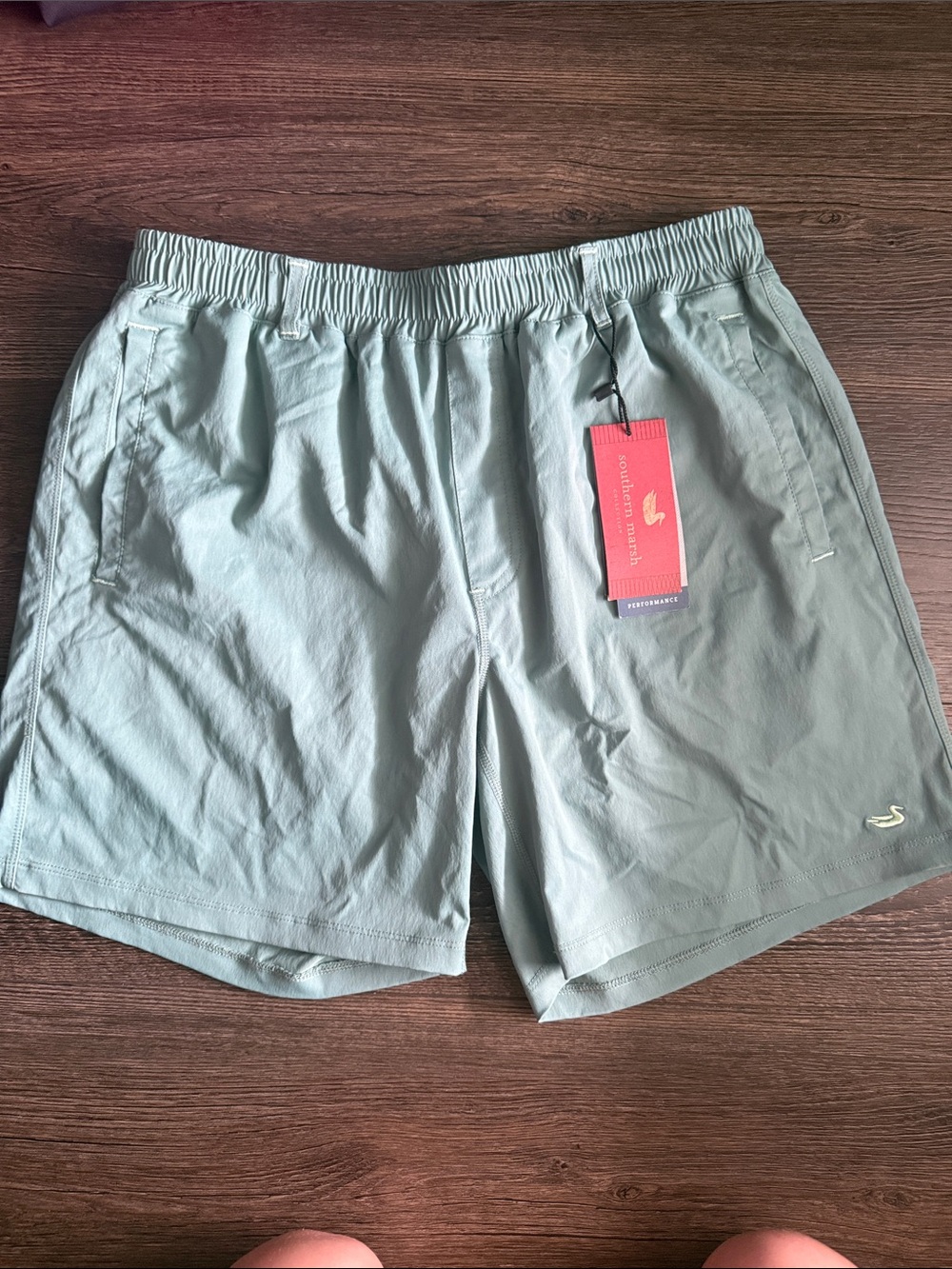 Southern Marsh Men's Athletic Shorts in Light Sage